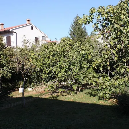 Apartment Apartments With Parking Space Porec - 7024 *